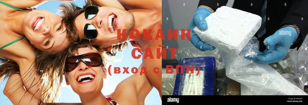 тгк Абаза