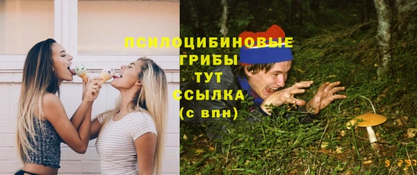 ешки Абинск