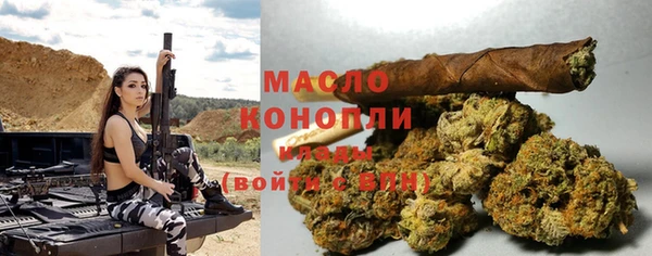 тгк Абаза