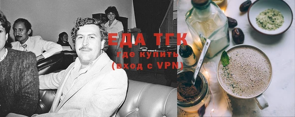 тгк Абаза