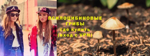 ешки Абинск
