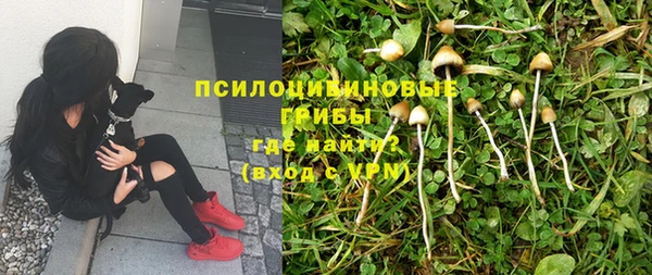 spice Переславль-Залесский