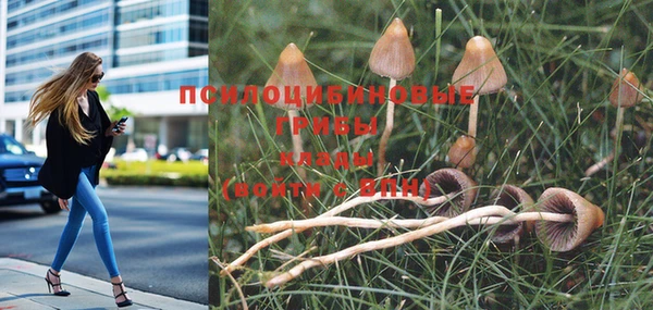 ешки Абинск