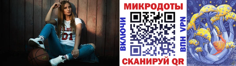 купить   Новоуральск  hydra ONION  Галлюциногенные грибы Psilocybine cubensis 